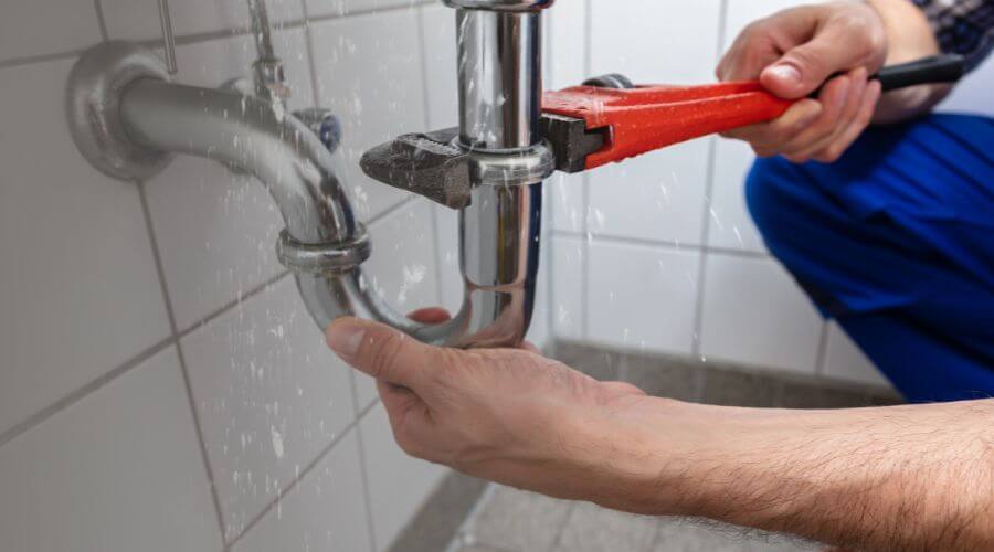 Thermal Imaging Leak Detection in Lady Lake, FL
